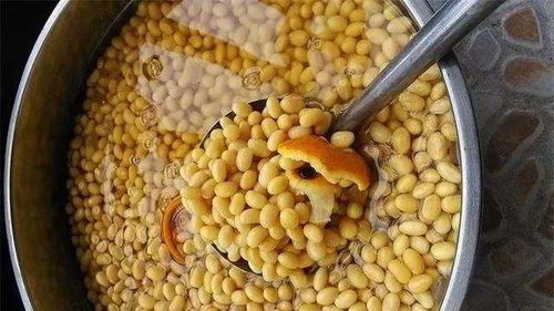 这种 金豆豆 养花很合适,不但补充氮磷钾,还能补微量元素