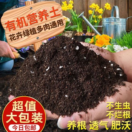 营养土通用种菜种花土绿萝多肉养花肥料盆栽花卉有机种植土壤泥土