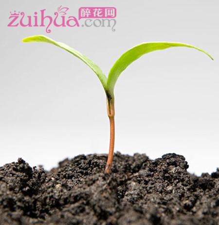土壤酸碱度的介绍