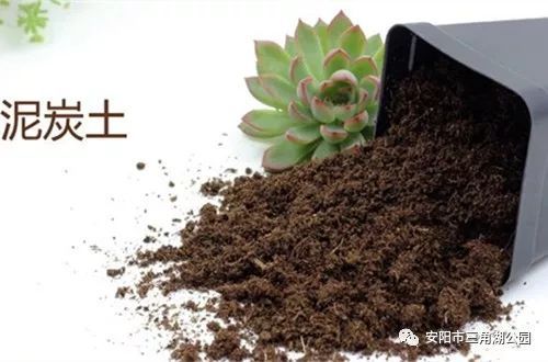 花卉营养土怎么配制