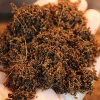 优惠券 十大品牌排行榜 哪个牌子好 淘宝商城 天猫商城精选 京东商城 拼多多商城