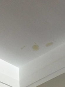 求助 上海哪里有权威的检测 房屋漏水的机构吗