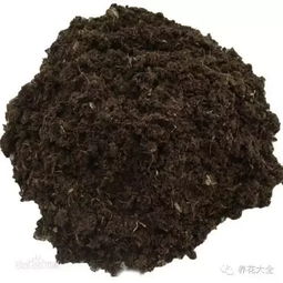 好花须得好土配,不懂土就别养花
