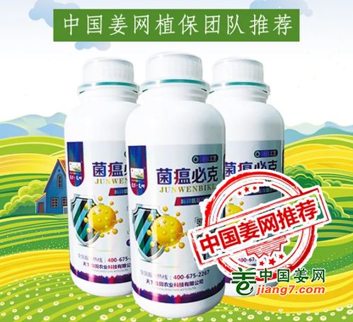 如临大敌 许多人的生姜已经 中招 了,现在应对还不晚