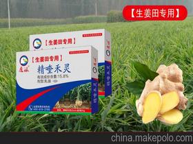 生姜地专用除草剂价格 生姜地专用除草剂批发 生姜地专用除草剂厂家