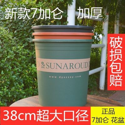 加厚加仑盆5加仑6加仑7加仑特大号花盆塑料树脂种树果树特大花盆