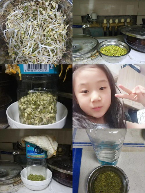 展科学风采,促素养提升 三 四年级科学寒假作业展