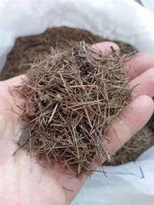 路边或者菜园里挖来的土能养花么