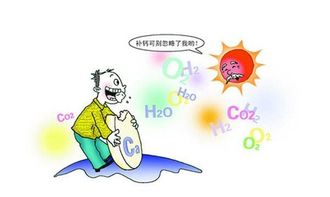 狗狗毛发有光泽的技巧,很简单