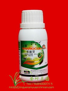 比秀 氯溴异氰尿酸 防治细菌性 软腐 病 200升 瓶