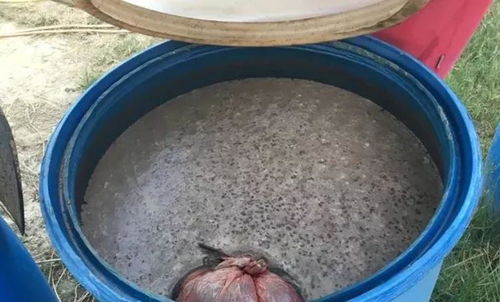 用豆子发酵水浇花有臭味,如何才能避免 先了解有机肥发酵原理