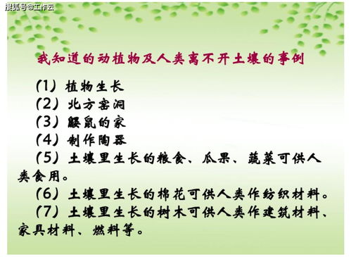 三年级科学上册 保护土壤 课件