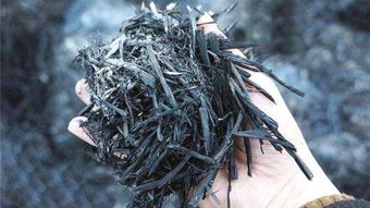 外婆养花,隔7天就往盆里 撒点灰 ,不施肥,养啥花都爆盆 家居频道 东方头条