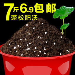 优惠券 十大品牌排行榜 哪个牌子好 淘宝商城 天猫商城精选 京东商城 拼多多商城 