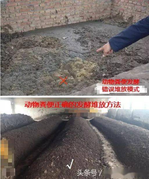 含水量高的稀烂鸭鹅粪处理技术,不增加设施快速变成液态有机肥或固态有机肥