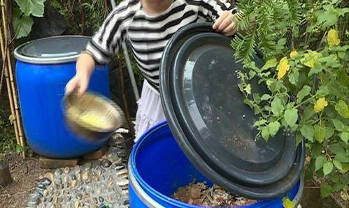 营养土多少钱一立方