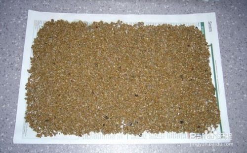 养花放点沙子好处多