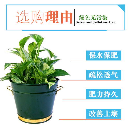 营养土通用种花种菜批发花肥料盆栽养花松针多肉君子兰兰花专用土