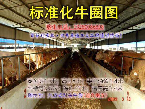 德惠养牛场性质