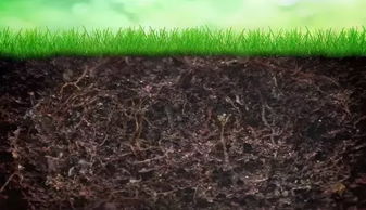 发改委 农业部联合支持农业PPP,七大项目前景巨大
