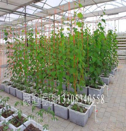 水肥一体化系统 灌溉系统 智能温室 生态餐厅 日光大棚 玻璃温室