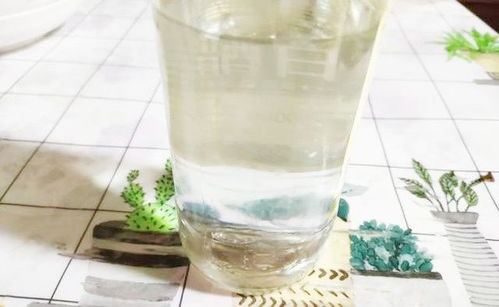 白醋浇花有技巧,操作方法不当,叶黄根枯成催命醋