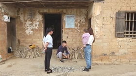 农村老板种植200亩桉树,以300万的价格转让,大家觉得能接手吗