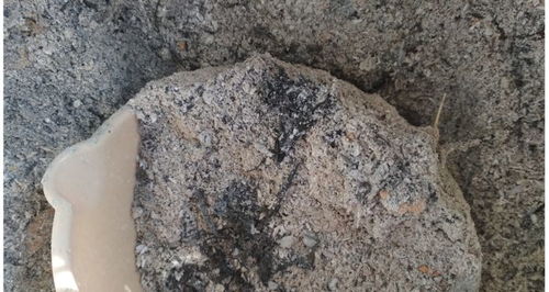 蔬菜什么情况下施用草木灰更好 优先用在最需要的地方,看有哪些