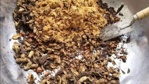 盆土总是容易结板,出现积水烂根,花土里少放了这几种材料