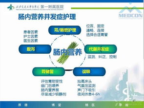 肠内营养常见并发症护理,ppt 赞
