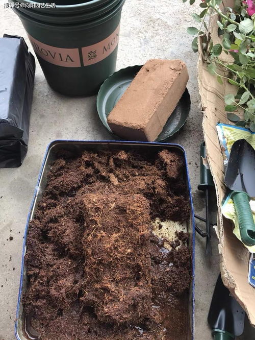 养花的第1步,学会 调配花土 ,土壤千千万, 黄土 最难用