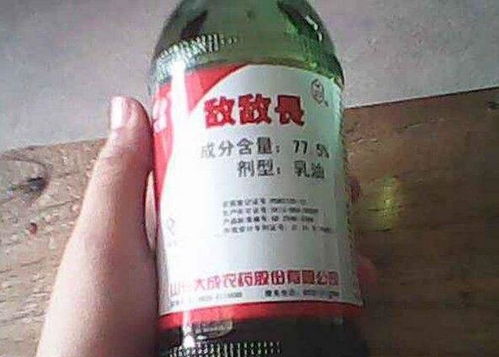 横蛇竖兔老娘们褪裤,司机上路连遇三大凶兆,靠善念化险为夷