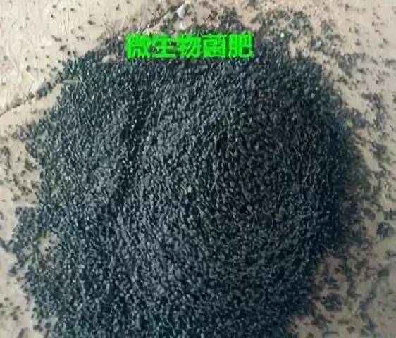 微生物菌肥好不好,看它会不会长毛 这个说法,纯粹忽悠人