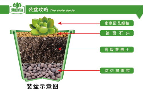 优惠券 十大品牌排行榜 哪个牌子好 淘宝商城 天猫商城严选 元珍商城