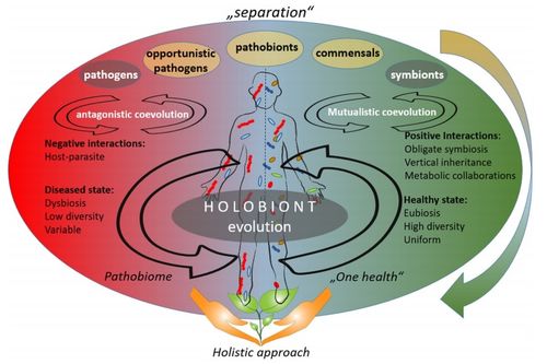 Microbiome 微生物组的定义重新审视 旧概念和新挑战