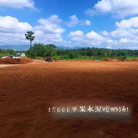 进口椰砖大椰糠砖椰粉砖种菜土营养土10斤椰糠砖