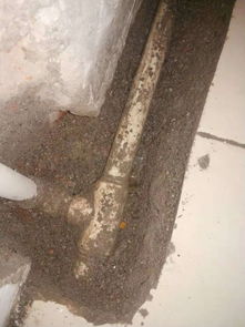 泥炭土不渗水怎么办