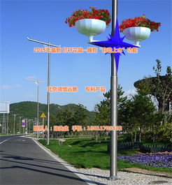 灯杆花盆图纸 鸿恒远景 已认证 湖南灯杆花盆高清图片 高清大图