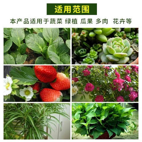 君子兰土营养土批发