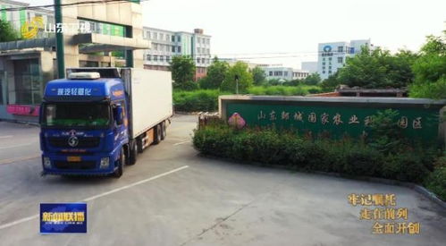 山东创新要素为农业产业 强链 补链 农业科技园区推动乡村振兴迸发生机