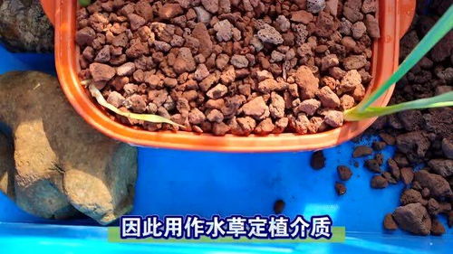 鱼缸底砂用什么好 便宜好用,龟缸火山石颗粒大小选择 铺设厚度和清洗方法