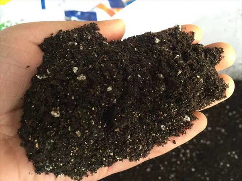 自己在家怎样制作营养土