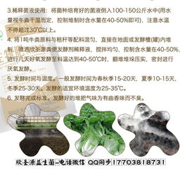 牛粪羊粪怎么发酵来做有机肥