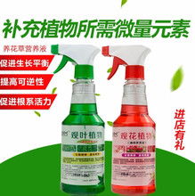 液体肥设备图片