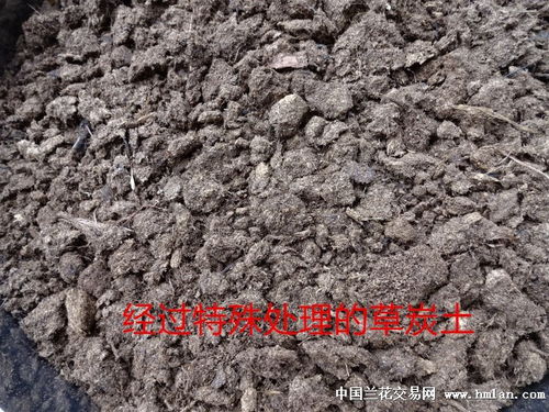 经过特殊处理的草炭土