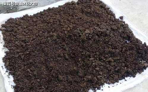 看完这篇文章,你就懂了为什么养花并不是什么土都可以用