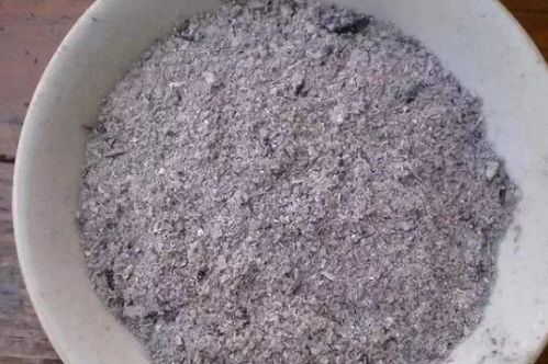 家里自己做 肥水 ,3种材料准备好,用时浇一点,花儿长得旺 黄豆水