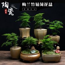 红陶土花盆