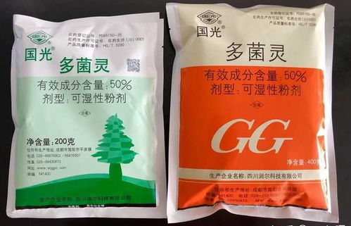 蓝妖 月季黑斑病怎么治 月季黑斑病用什么药 看完你就懂了