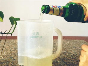 啤酒也能浇花哦